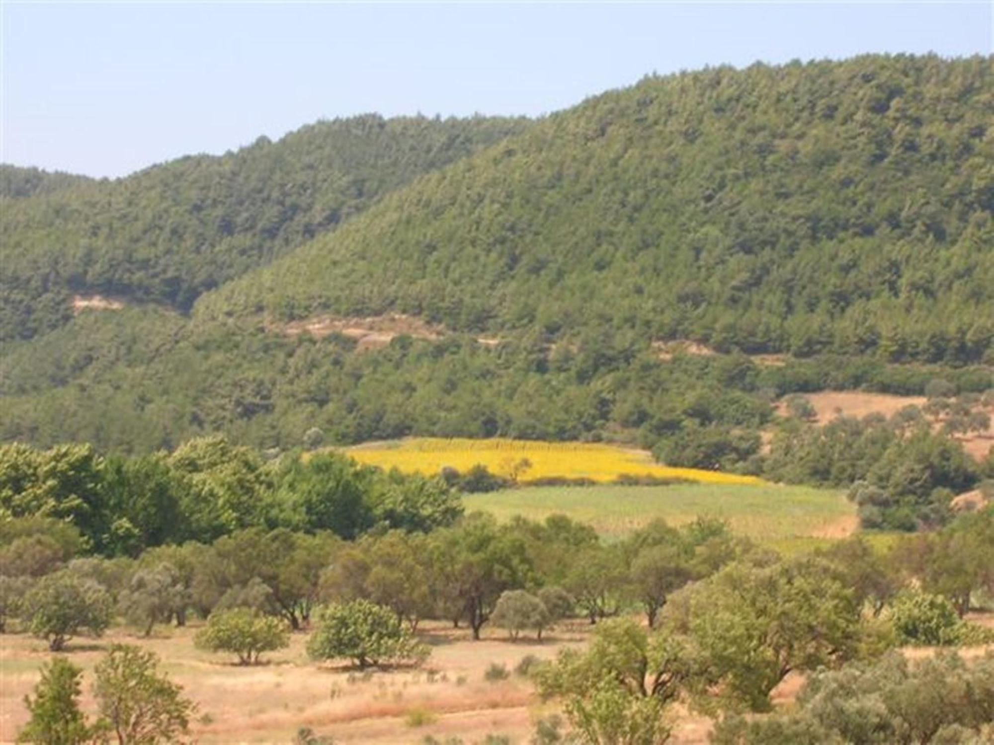 אג'אבאט Villa Bagci Hotel מראה חיצוני תמונה